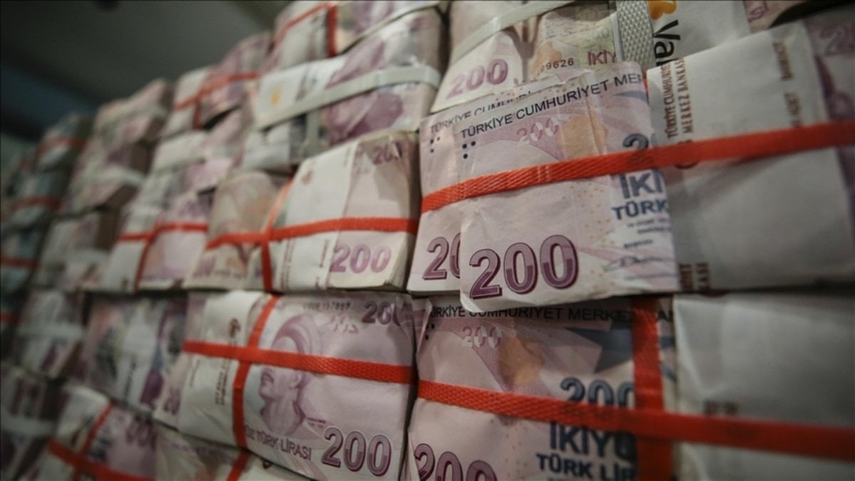 Hazine’nin 2025’te vergi dışı normal gelirleri 80,8 milyar lira olarak hesaplandı