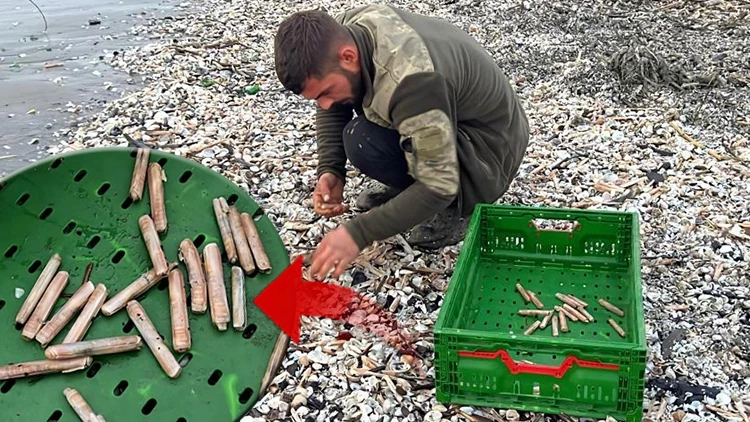 Fırtına Mersin Sahilini Midyeyle Doldurdu: Balıkçılar Kovalara Topladı, “Normalde Para Verip Alıyoruz”